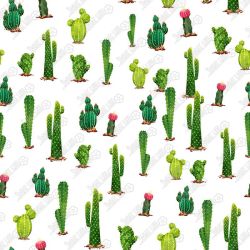 DC 01319 W1 DM 50 435 1 Cacti 507 X 507