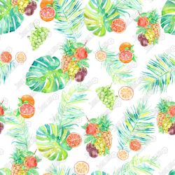 DC 01290 W1 DM 51 439 1 Summer Fruits 507 X 507